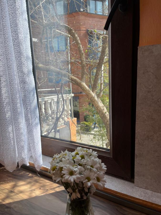 Tiflisi Guest House Экстерьер фото